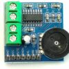 2 x 3W audio amplifier APM8403 with volume control 3