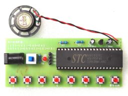 Chaser Light - DIY Solder Learning Kit with NE555 and CD4017